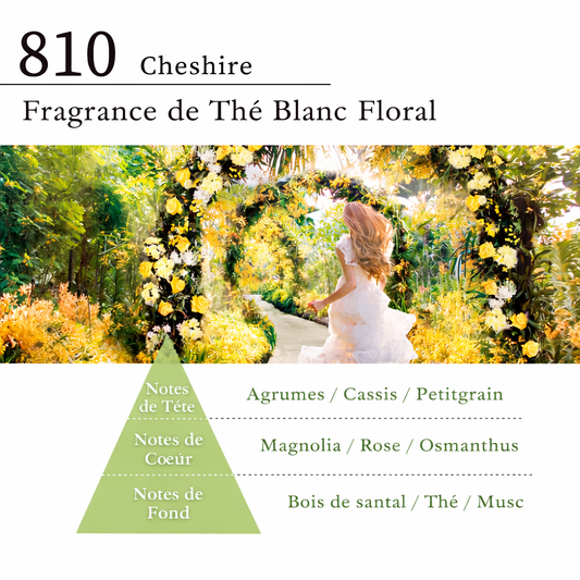 SE:CRUNO – Fabric Spray Cheshire 810 (200 ml)